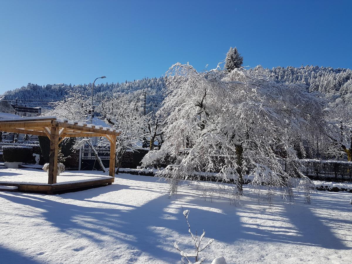 Le Castelet Hotel Le Mont-Dore Bagian luar foto